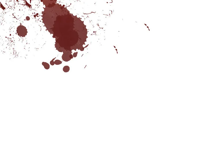 The Heiress's Double Life Chapter 16 page 54 - 