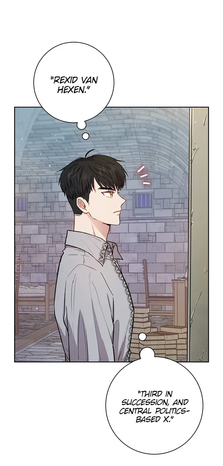 The Heiress's Double Life Chapter 17 page 30 - 