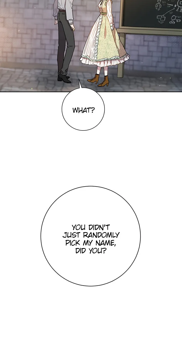 The Heiress's Double Life Chapter 17 page 48 - 