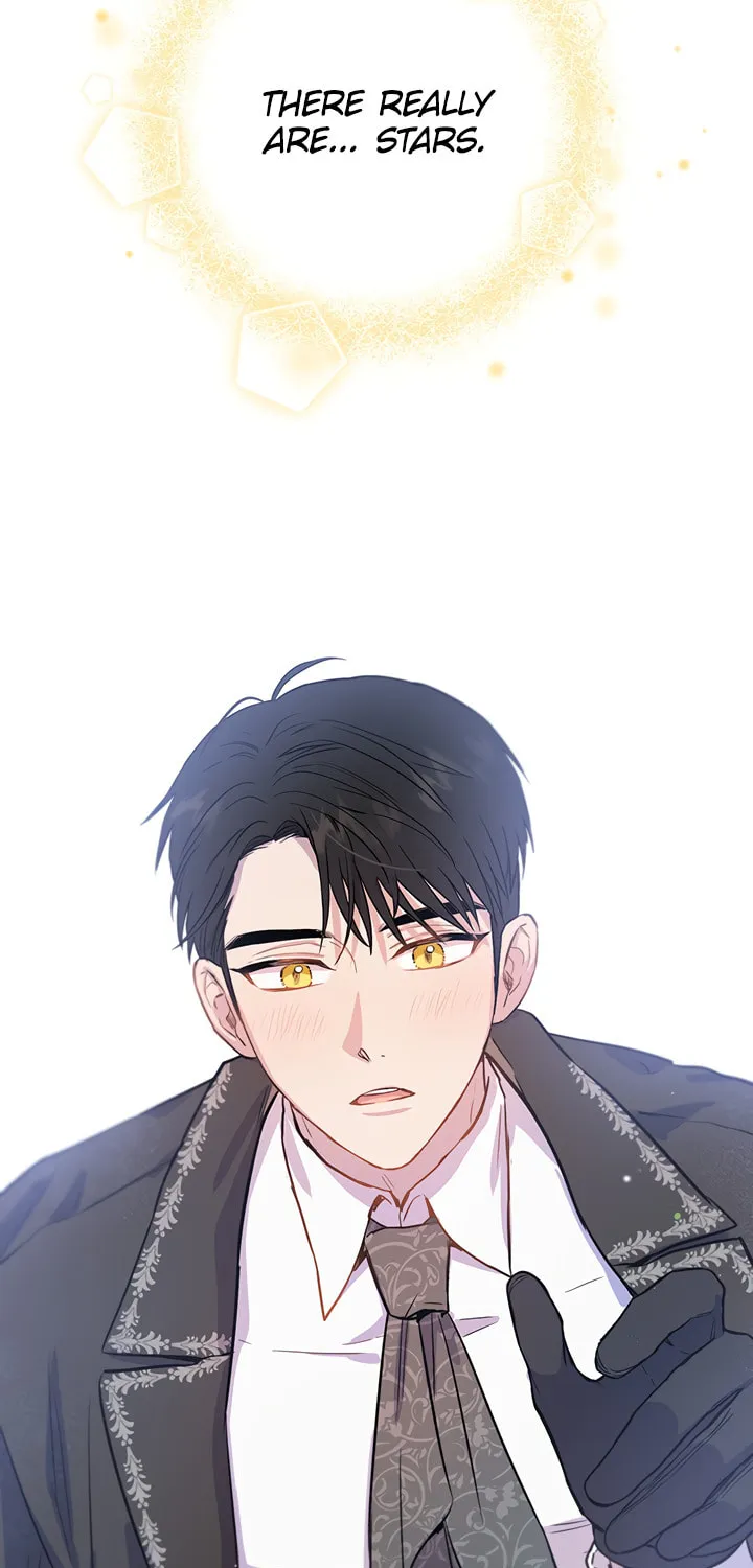 The Heiress's Double Life Chapter 18 page 74 - 