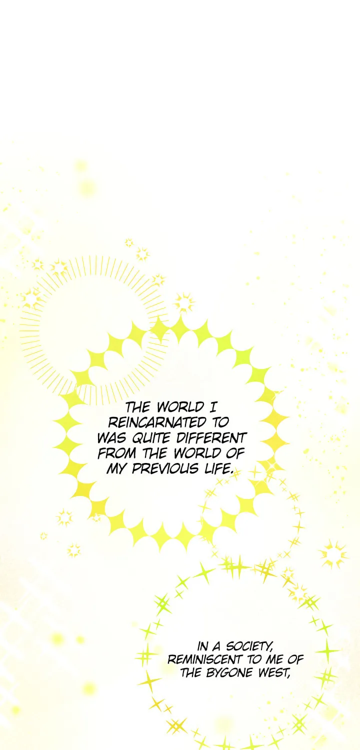 The Heiress's Double Life Chapter 2 page 3 - 