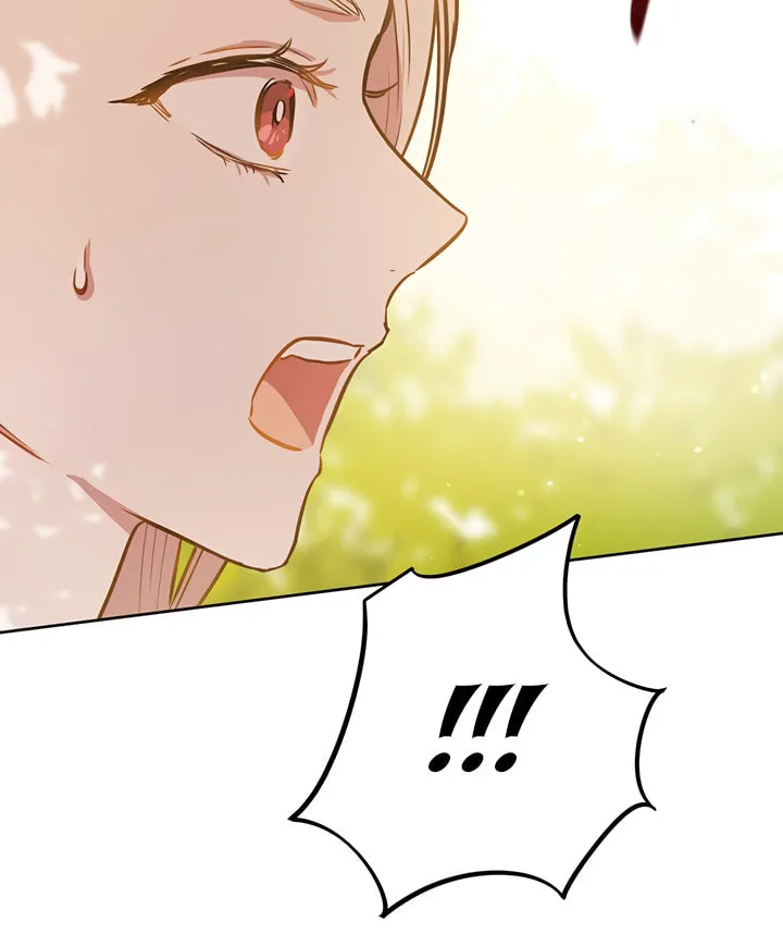 The Heiress's Double Life Chapter 21 page 73 - 