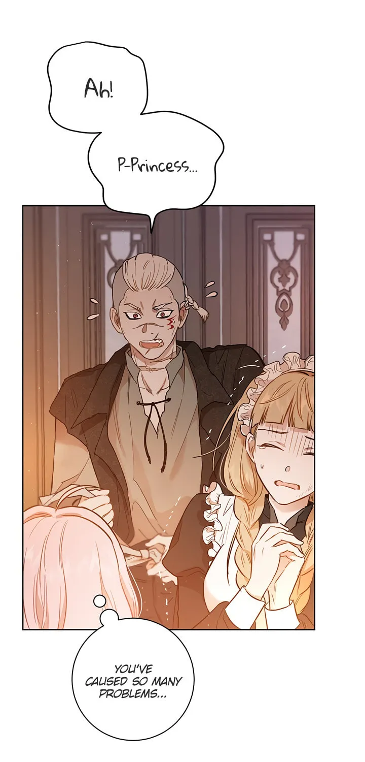 The Heiress's Double Life Chapter 22 page 16 - 