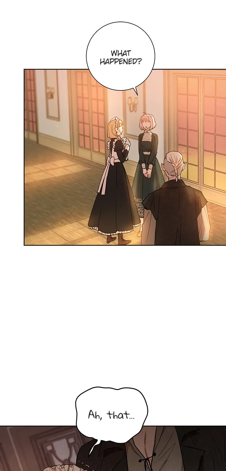 The Heiress's Double Life Chapter 22 page 18 - 