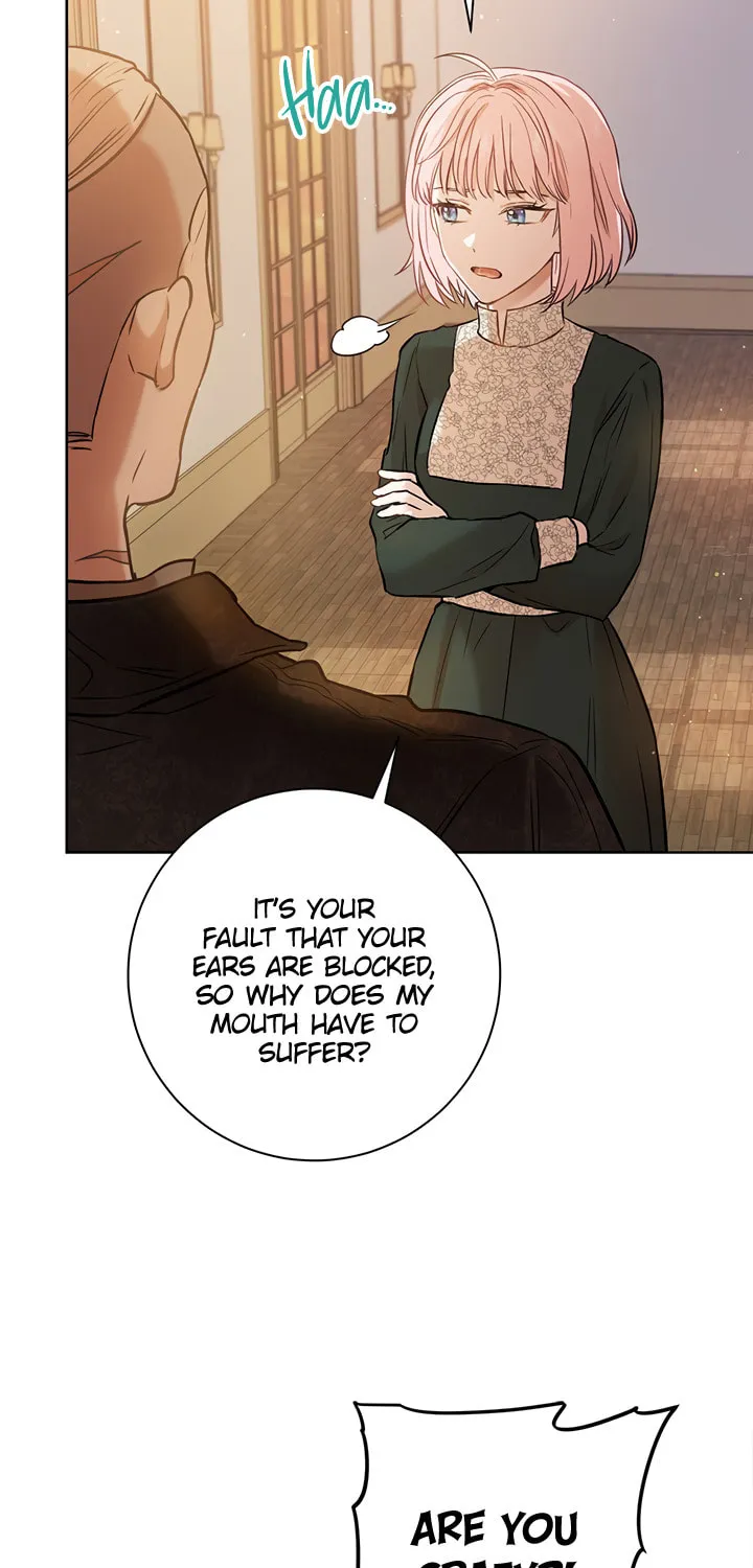 The Heiress's Double Life Chapter 22 page 41 - 