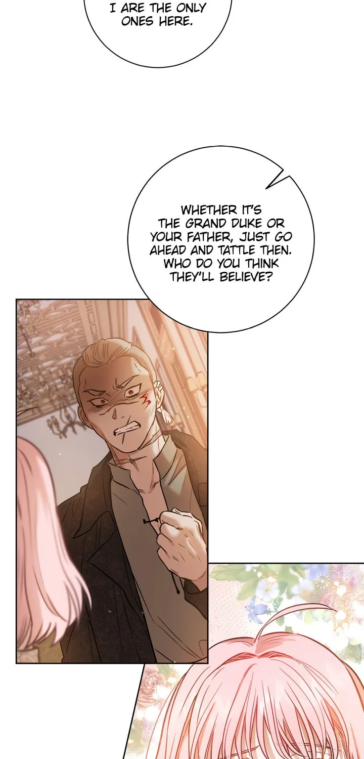 The Heiress's Double Life Chapter 22 page 47 - 