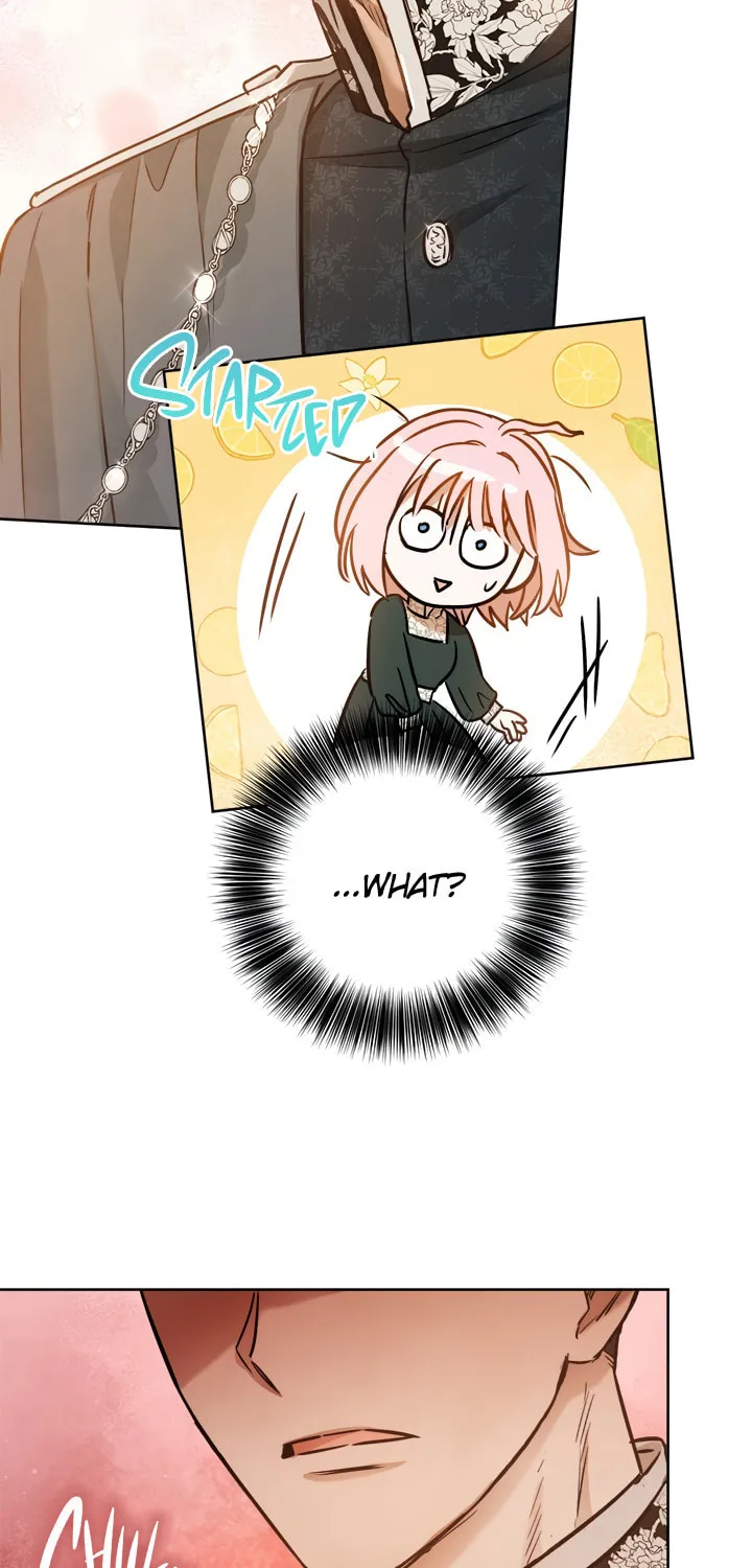The Heiress's Double Life Chapter 22 page 66 - 