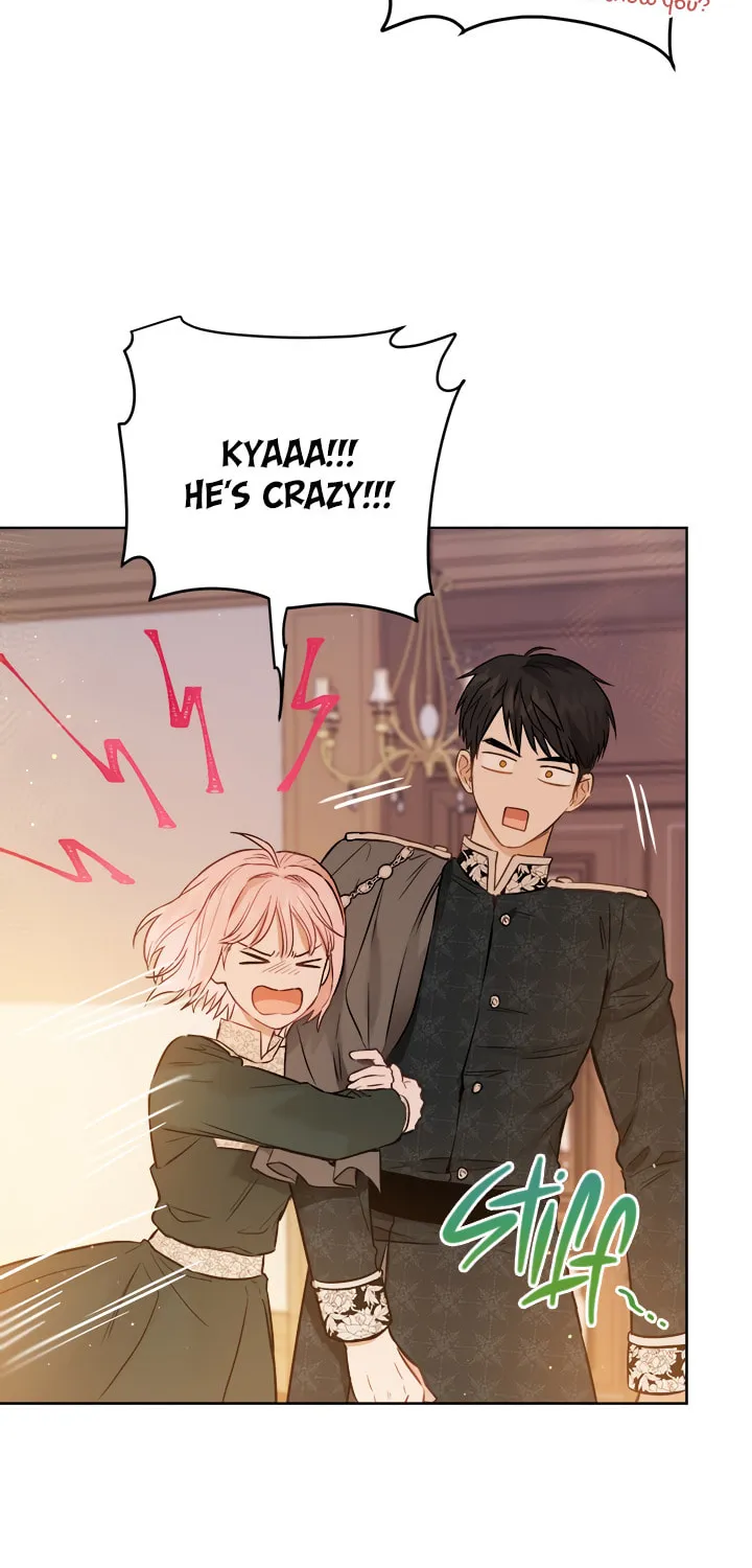 The Heiress's Double Life Chapter 23 page 47 - 