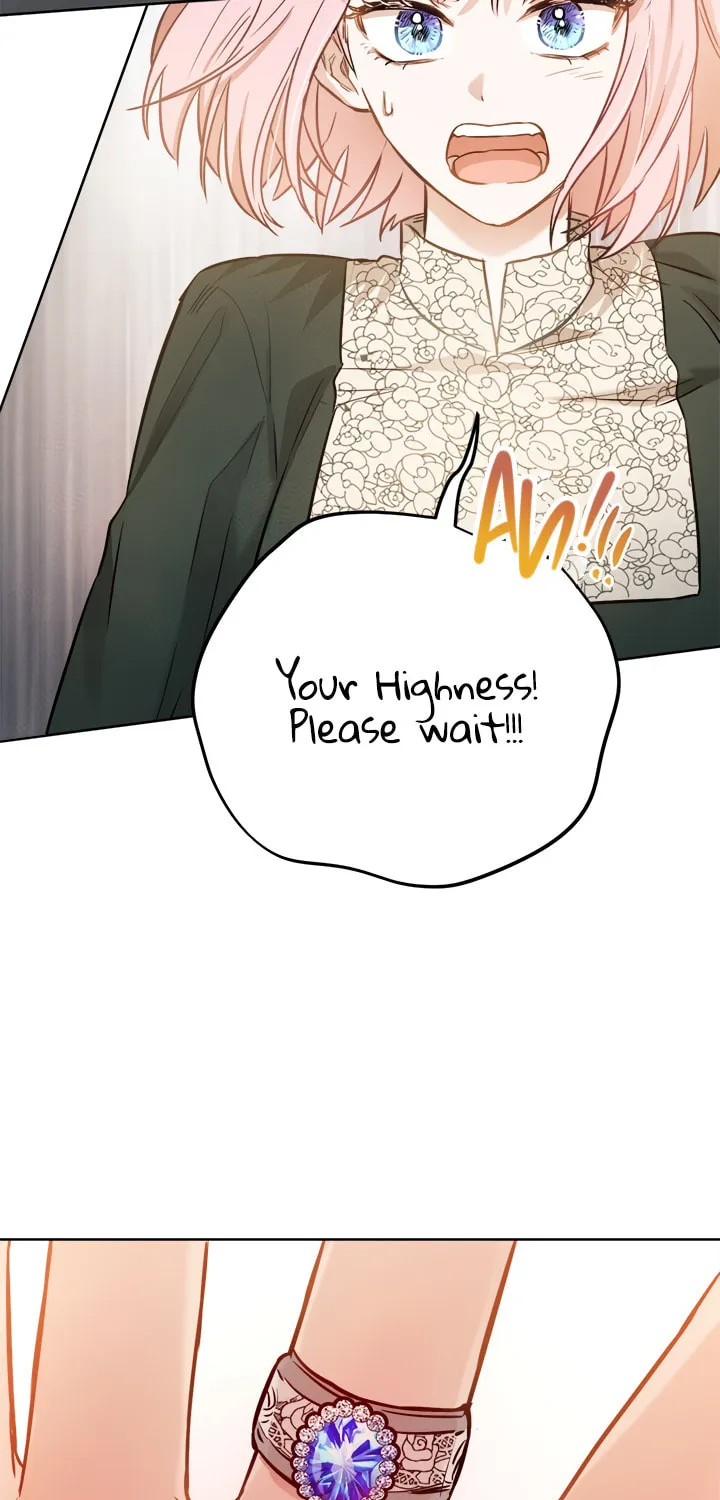 The Heiress's Double Life Chapter 23 page 68 - 