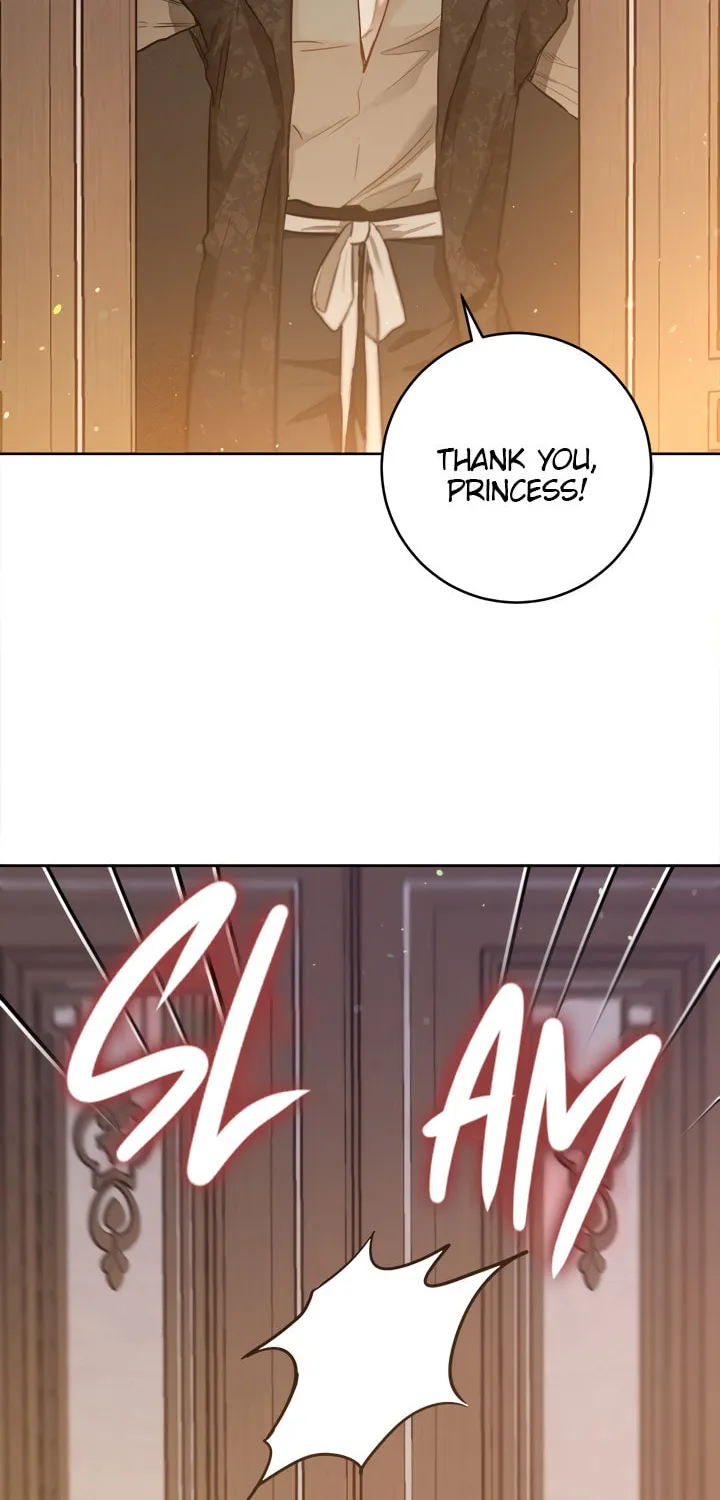 The Heiress's Double Life Chapter 24 page 27 - 