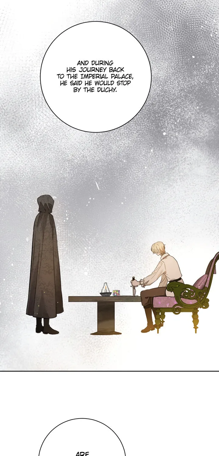 The Heiress's Double Life Chapter 25 page 44 - 