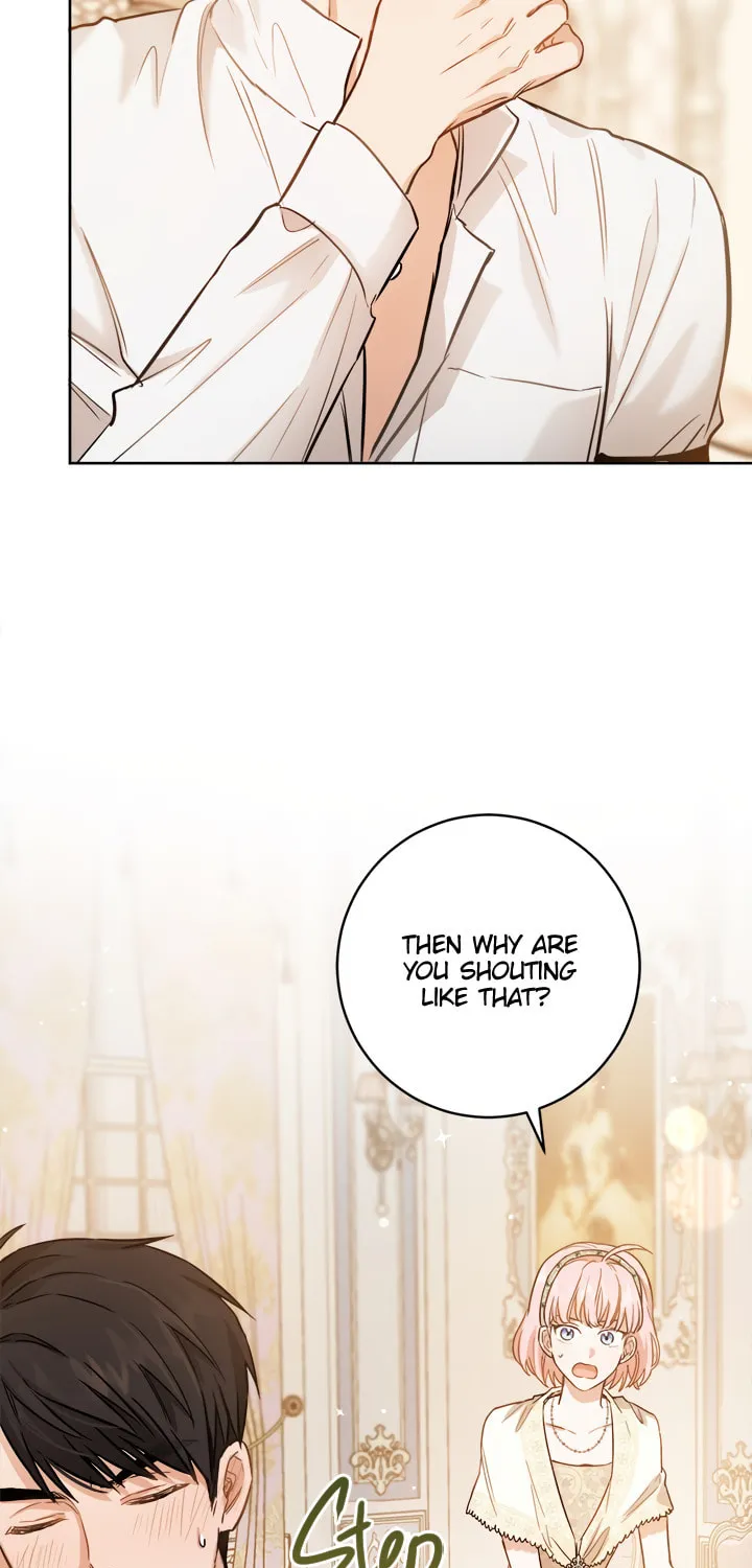 The Heiress's Double Life Chapter 26 page 17 - 