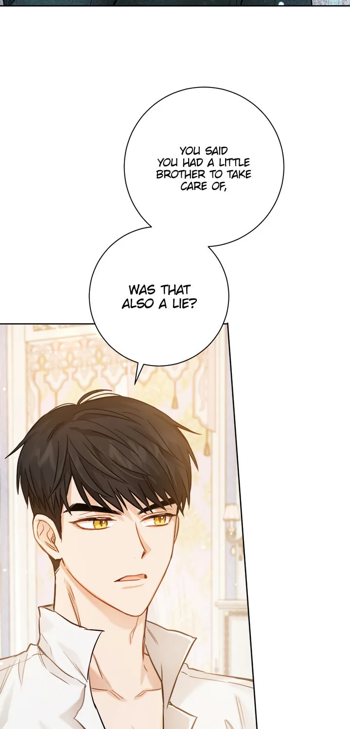 The Heiress's Double Life Chapter 26 page 22 - 