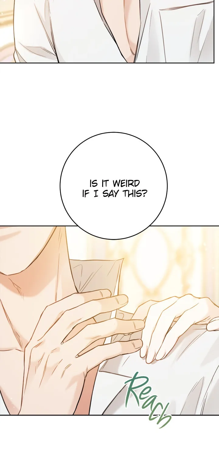 The Heiress's Double Life Chapter 27 page 48 - 