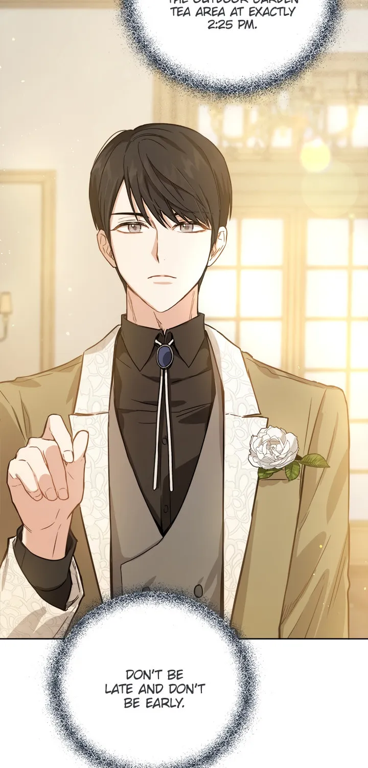 The Heiress's Double Life Chapter 28 page 45 - 