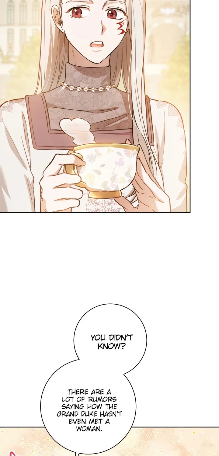 The Heiress's Double Life Chapter 29 page 16 - 