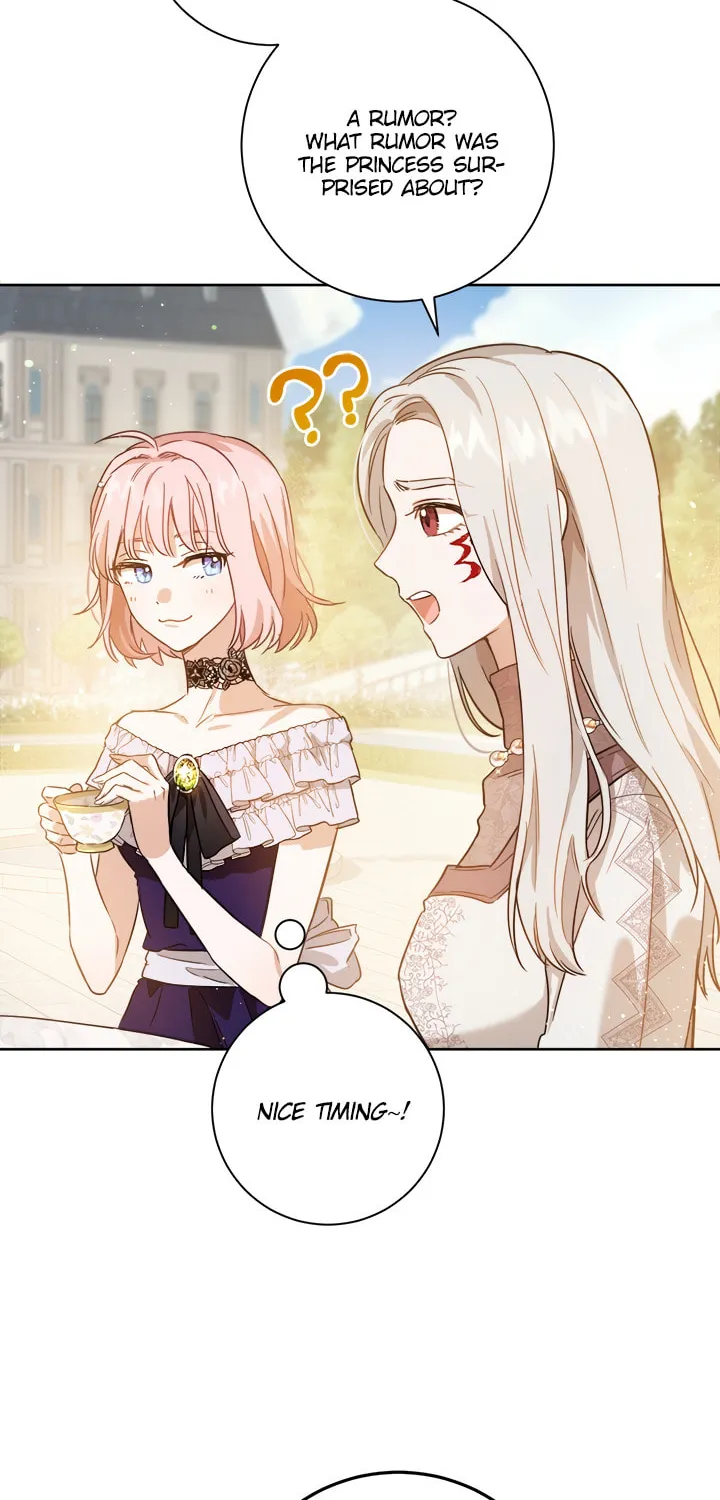 The Heiress's Double Life Chapter 29 page 26 - 