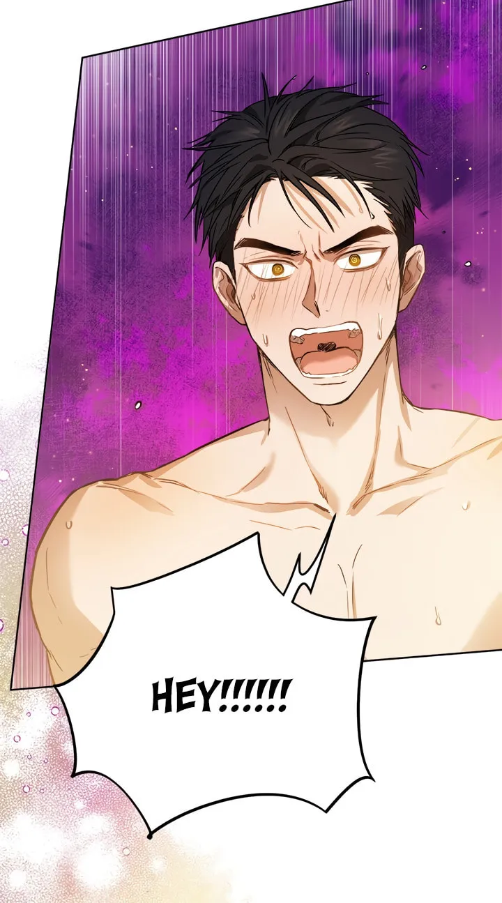 The Heiress's Double Life Chapter 30 page 65 - 