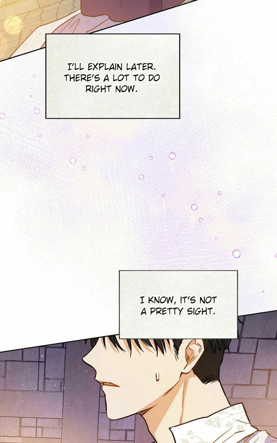 The Heiress's Double Life Chapter 32 page 36 - 