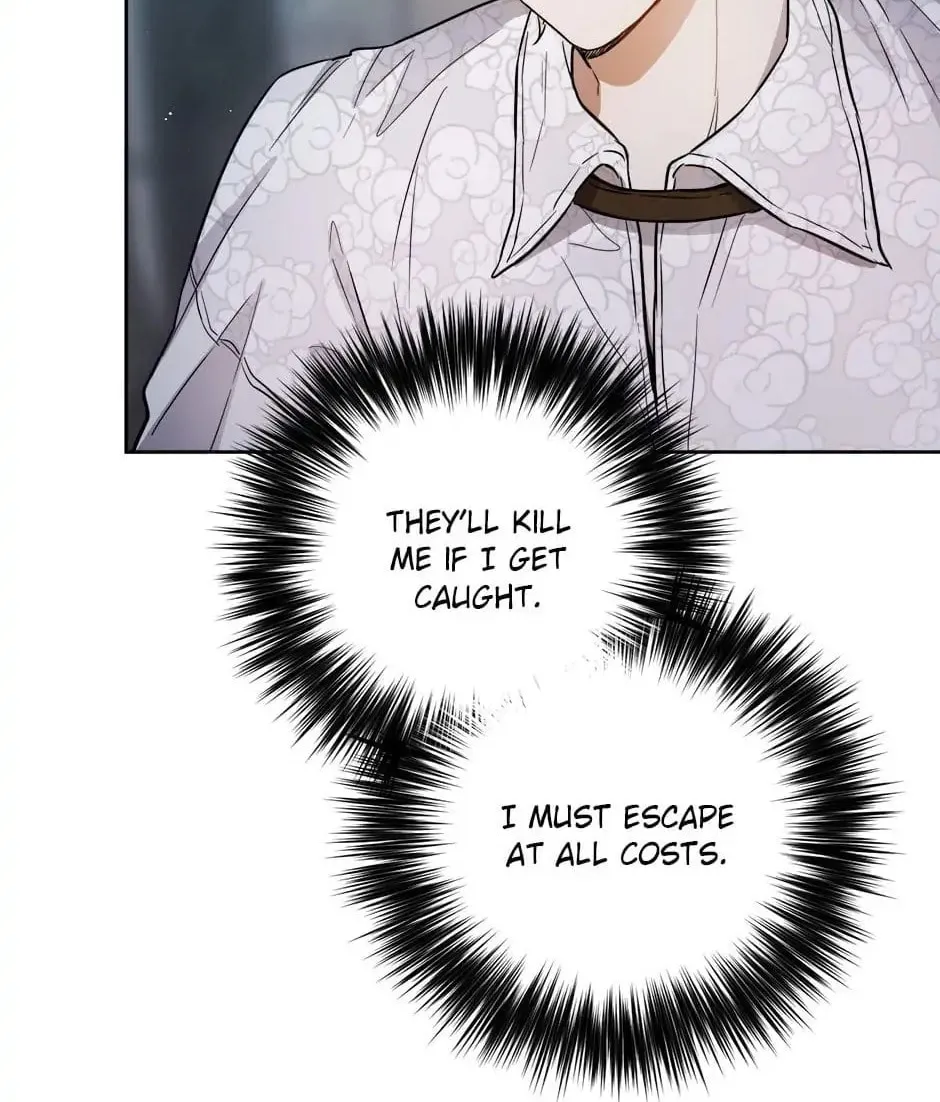 The Heiress's Double Life Chapter 35 page 19 - 