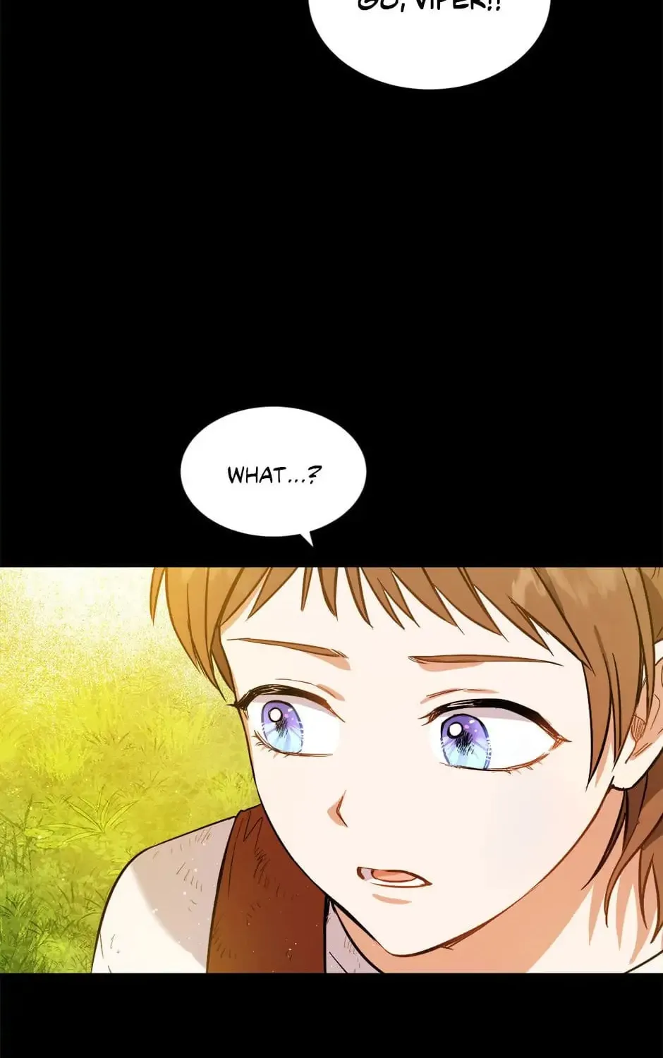 The Heiress's Double Life Chapter 36 page 77 - 