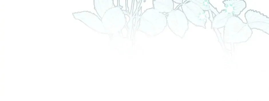 The Heiress's Double Life Chapter 39 page 93 - 
