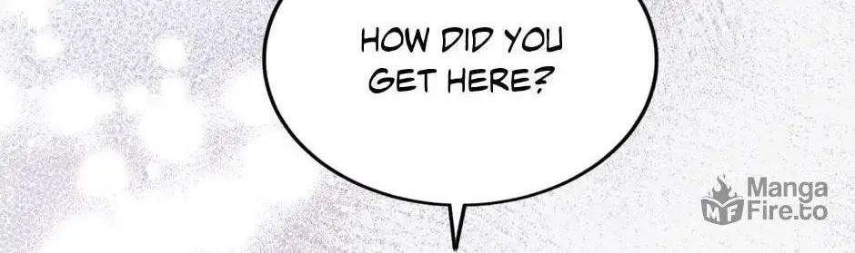 The Heiress's Double Life Chapter 43 page 41 - 