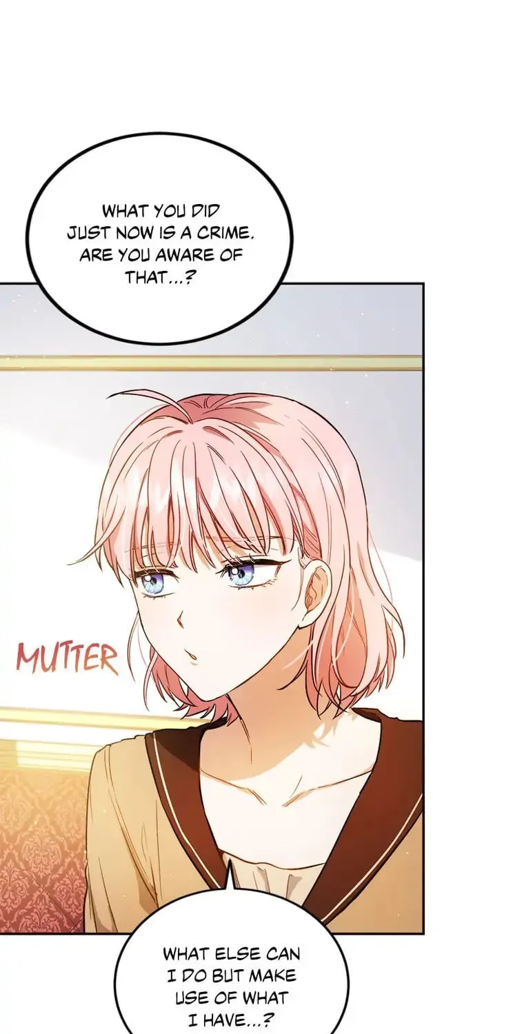 The Heiress's Double Life Chapter 47 page 96 - 