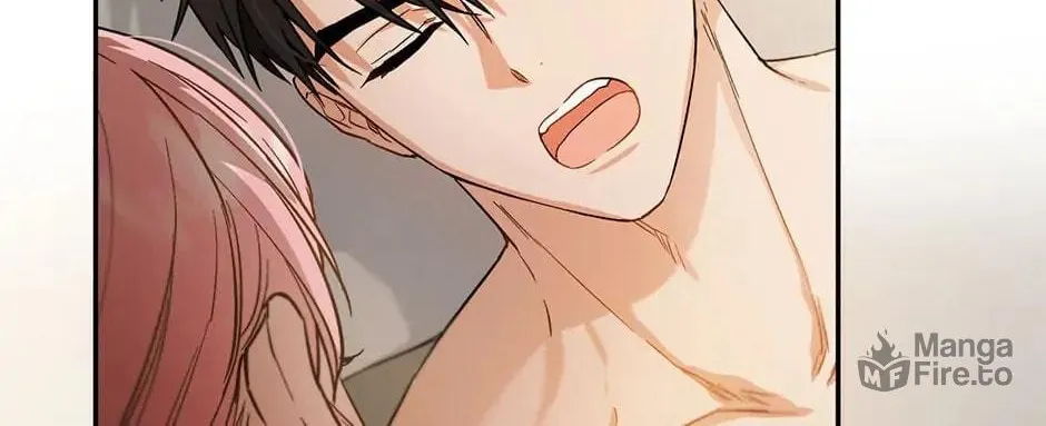 The Heiress's Double Life Chapter 63 page 17 - 