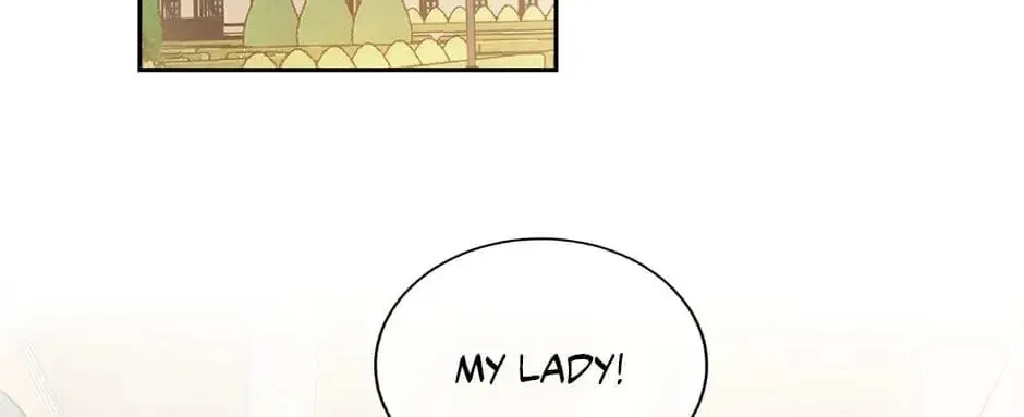 The Heiress's Double Life Chapter 63 page 25 - 