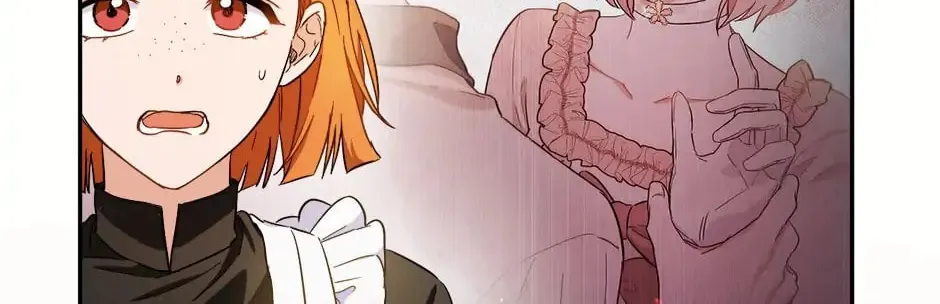 The Heiress's Double Life Chapter 66 page 27 - 