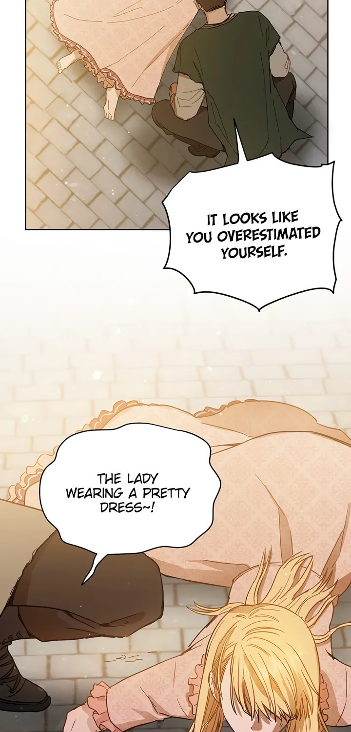 The Heiress's Double Life Chapter 7 page 45 - 