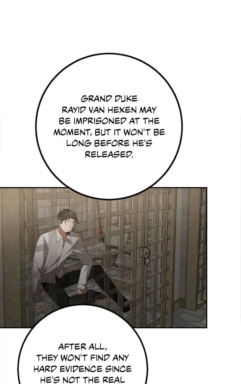 The Heiress's Double Life Chapter 84 page 47 - 