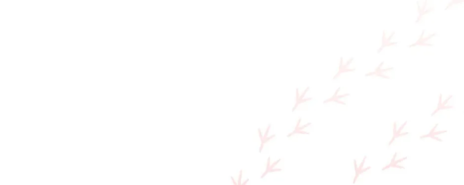 The Heiress's Double Life Chapter 86 page 22 - 