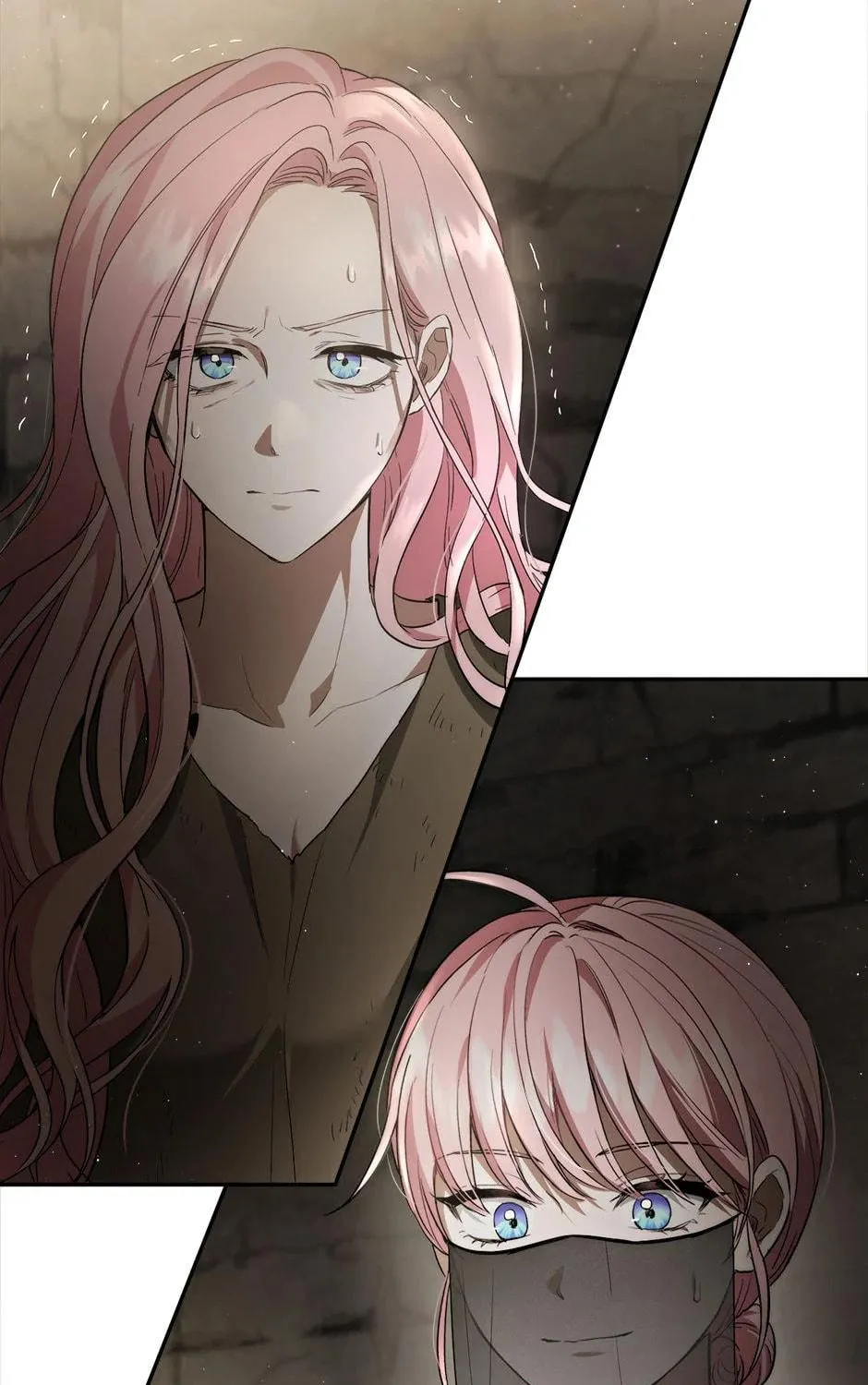The Heiress's Double Life Chapter 88 page 5 - 