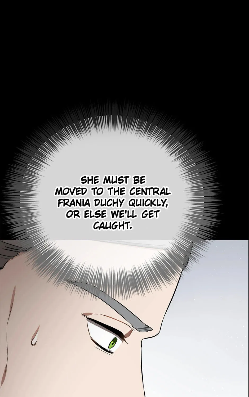 The Heiress's Double Life Chapter 91 page 117 - 