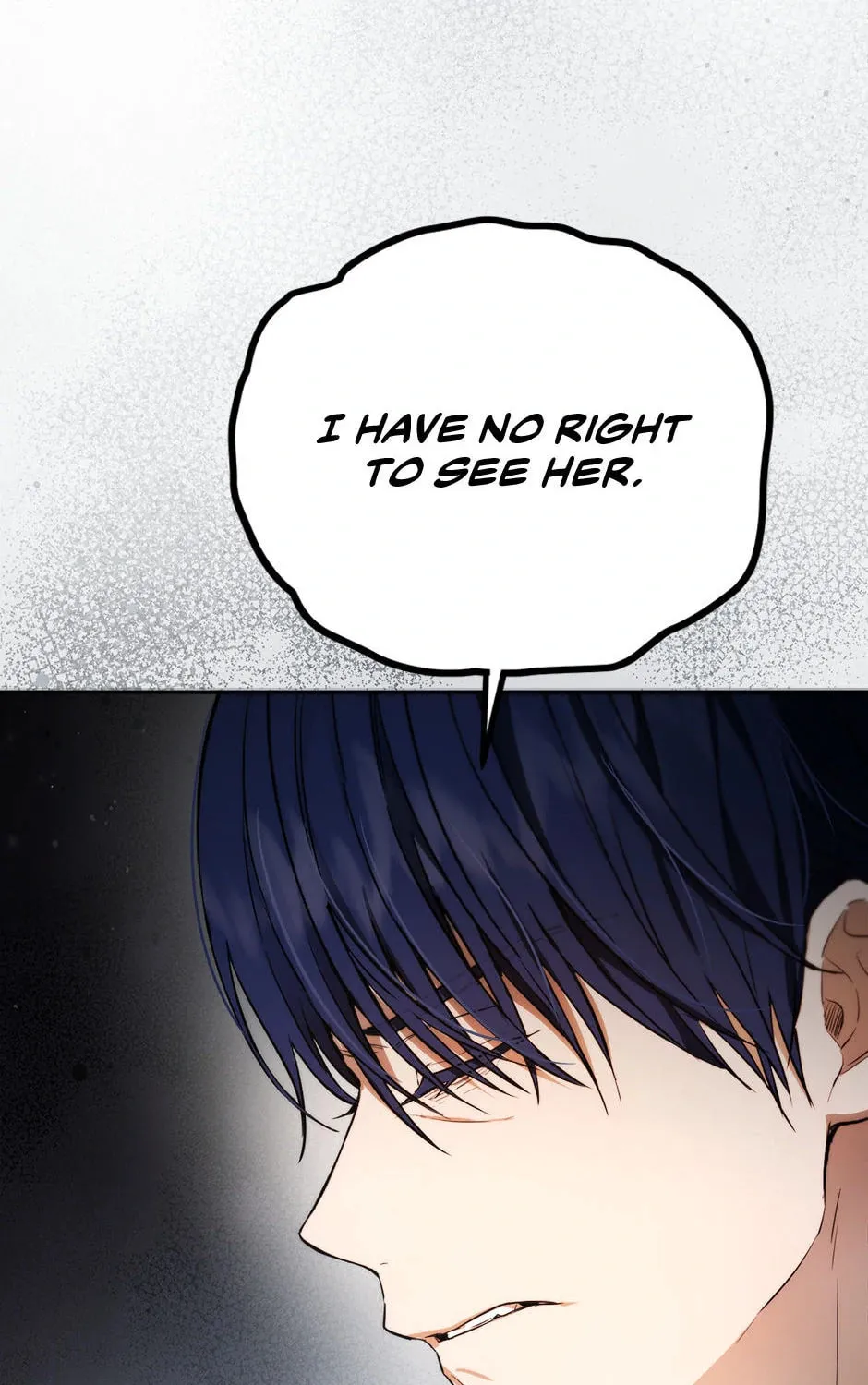 The Heiress's Double Life Chapter 92 page 27 - 