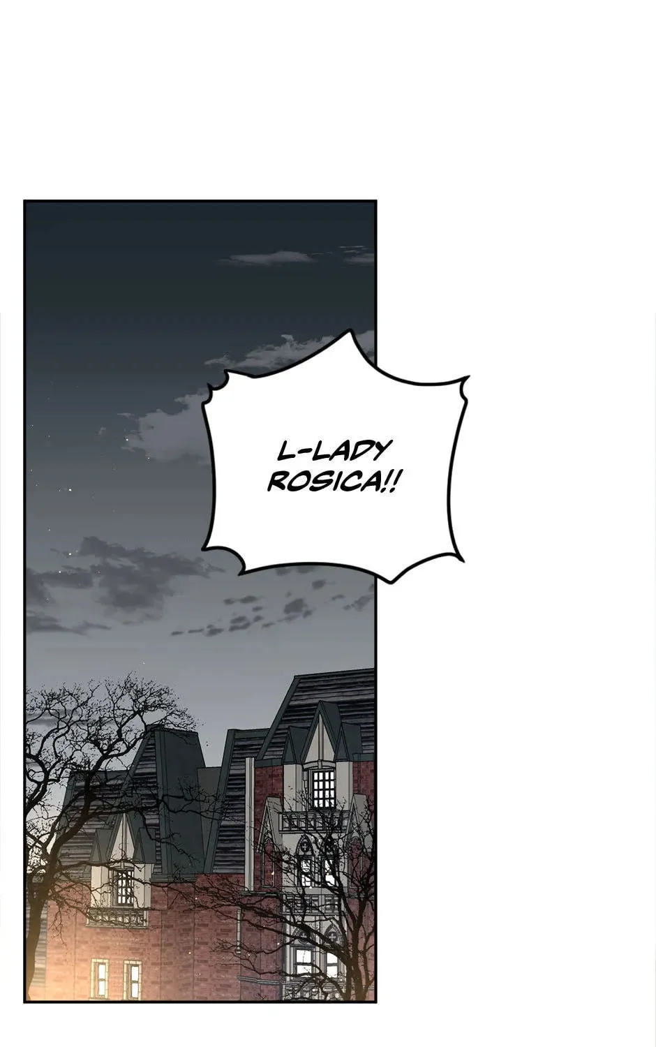 The Heiress's Double Life Chapter 99 page 171 - 