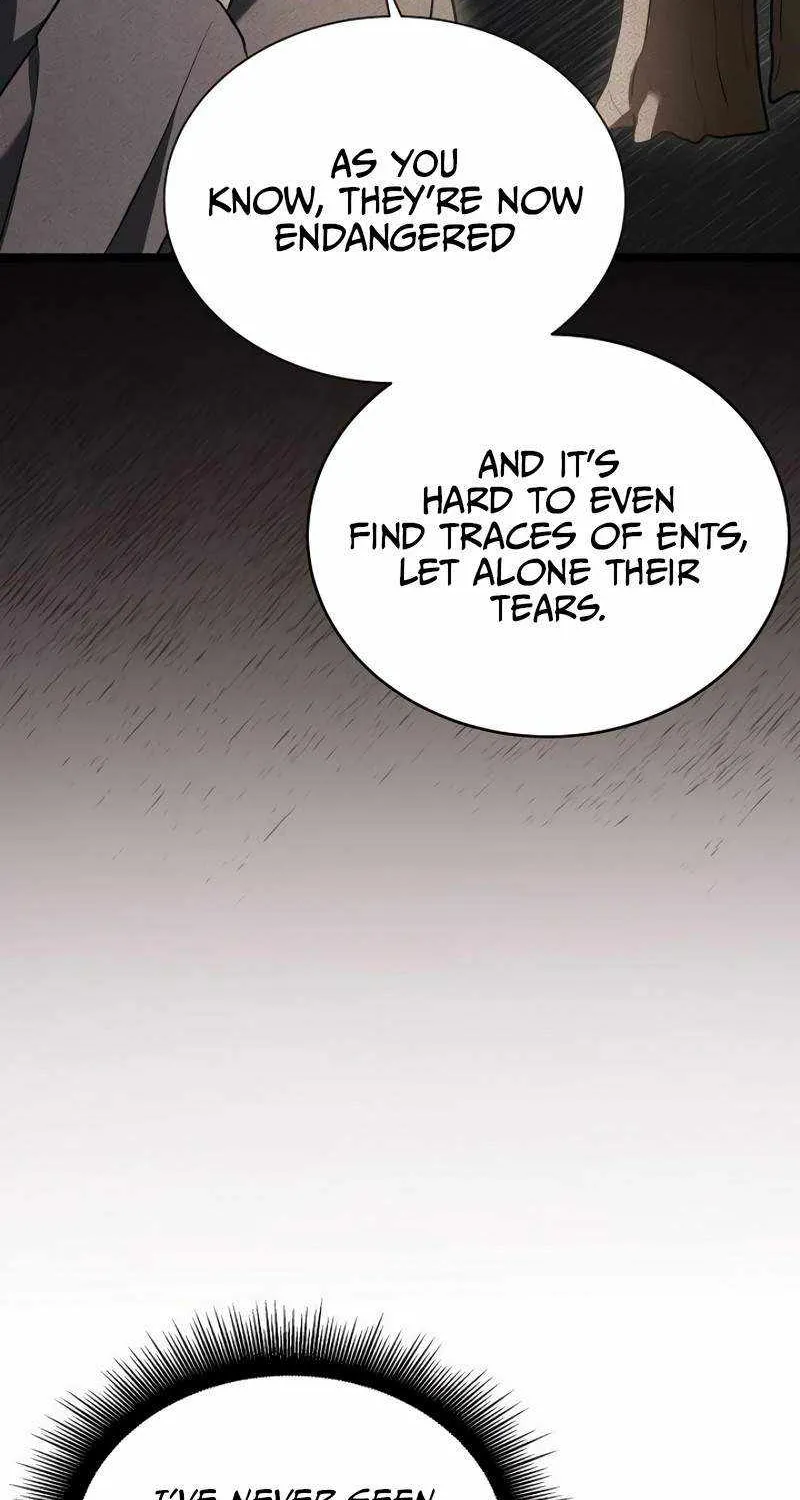 The Hero Became the Duke’s Eldest Son Chapter 17 page 13 - 