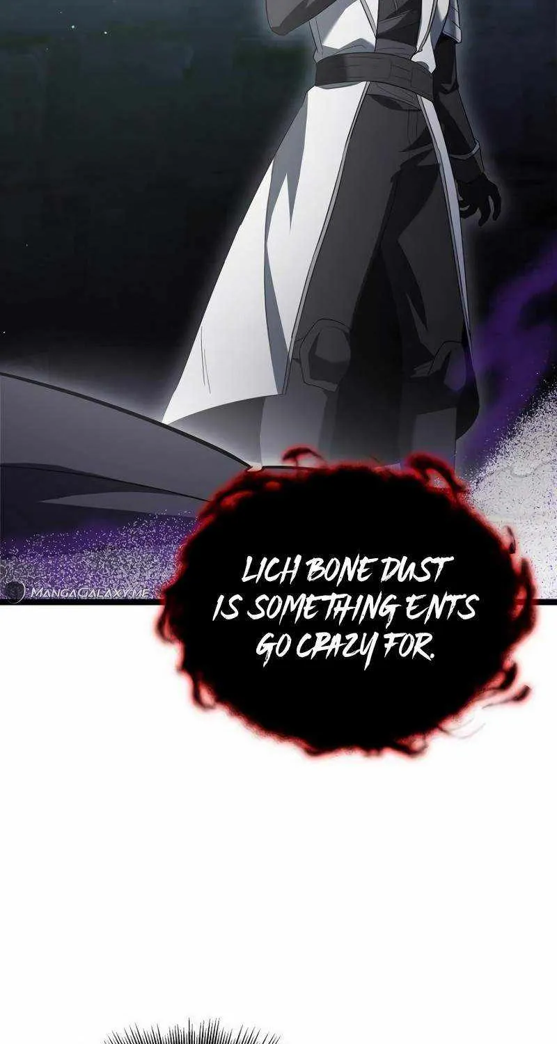 The Hero Became the Duke’s Eldest Son Chapter 17 page 64 - 