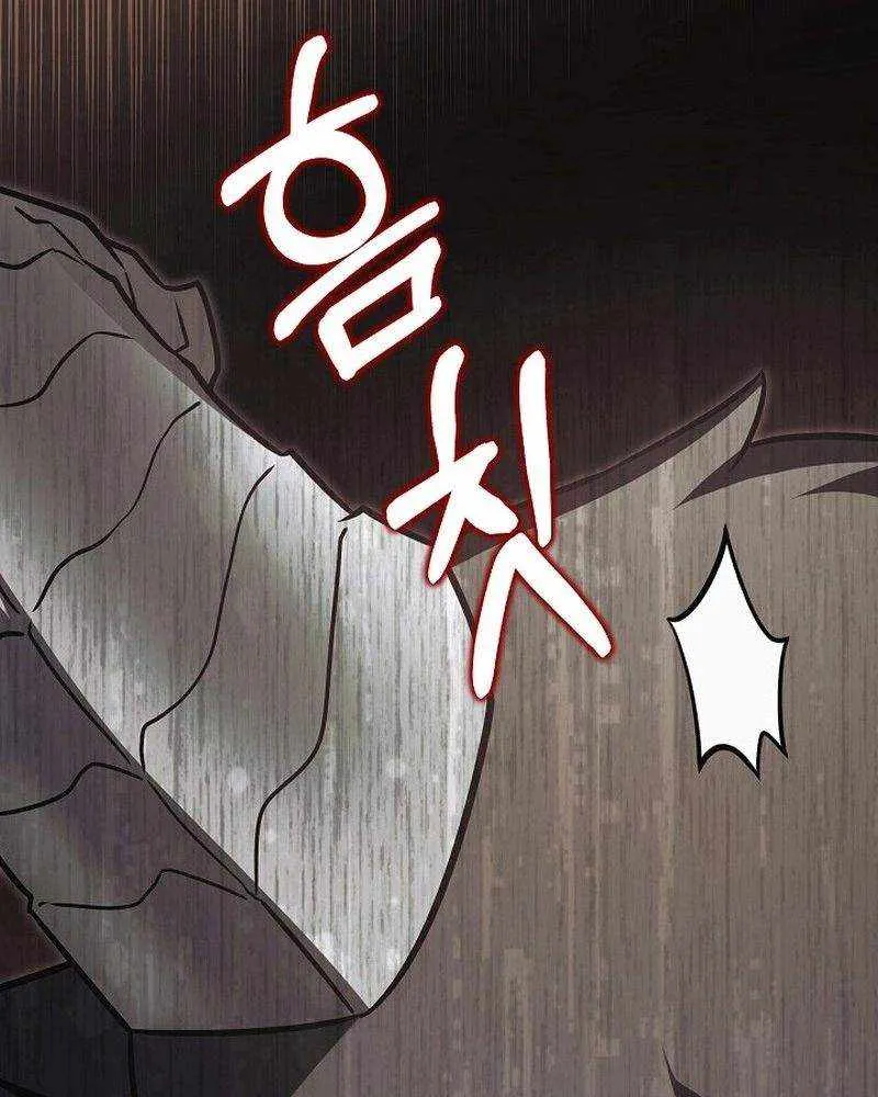 The Hero Became the Duke’s Eldest Son Chapter 27 page 45 - 