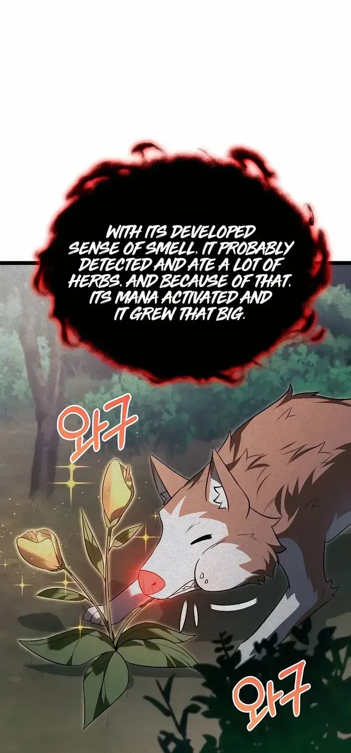 The Hero Became the Duke’s Eldest Son Chapter 42 page 19 - 