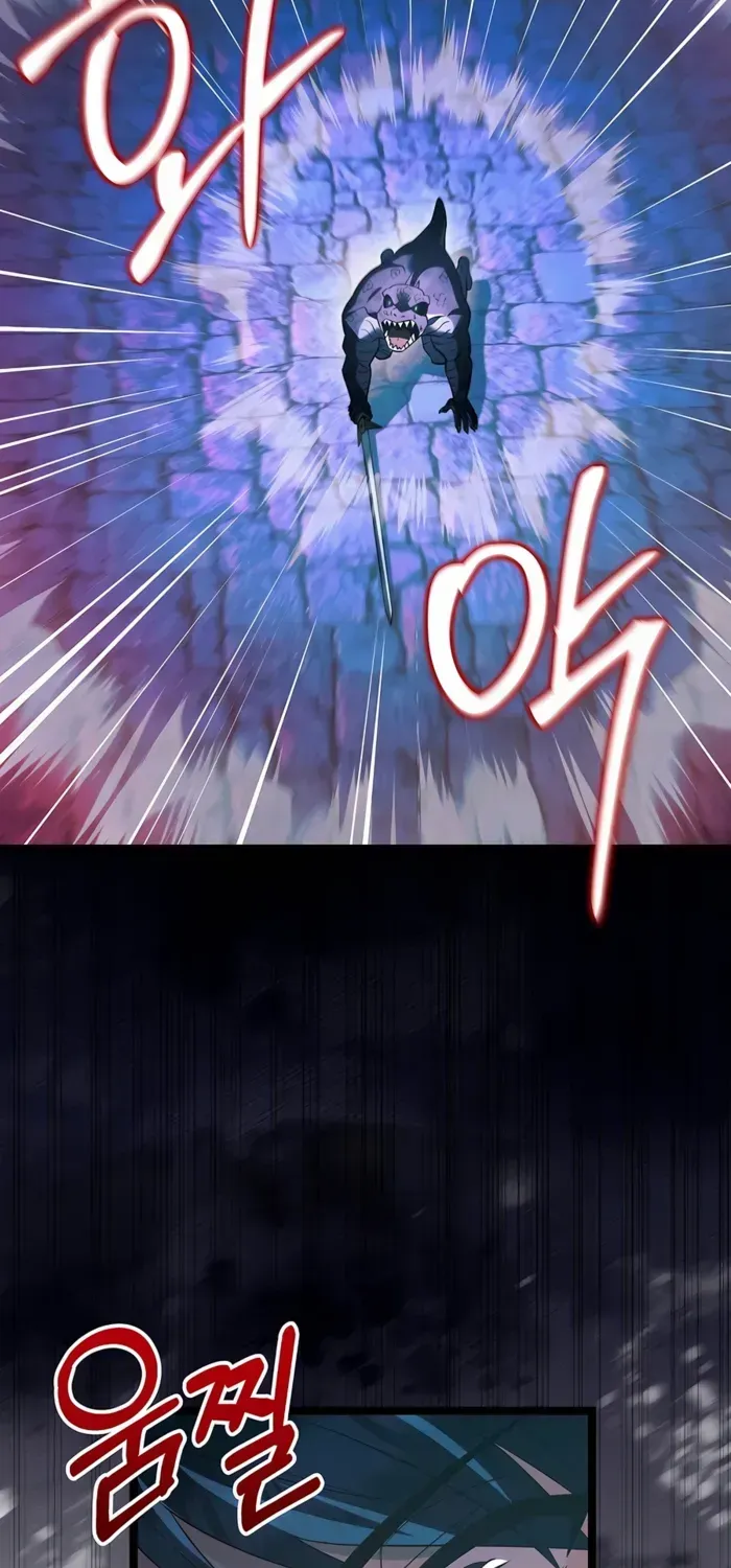 The Hero Became the Duke’s Eldest Son Chapter 51 page 46 - 