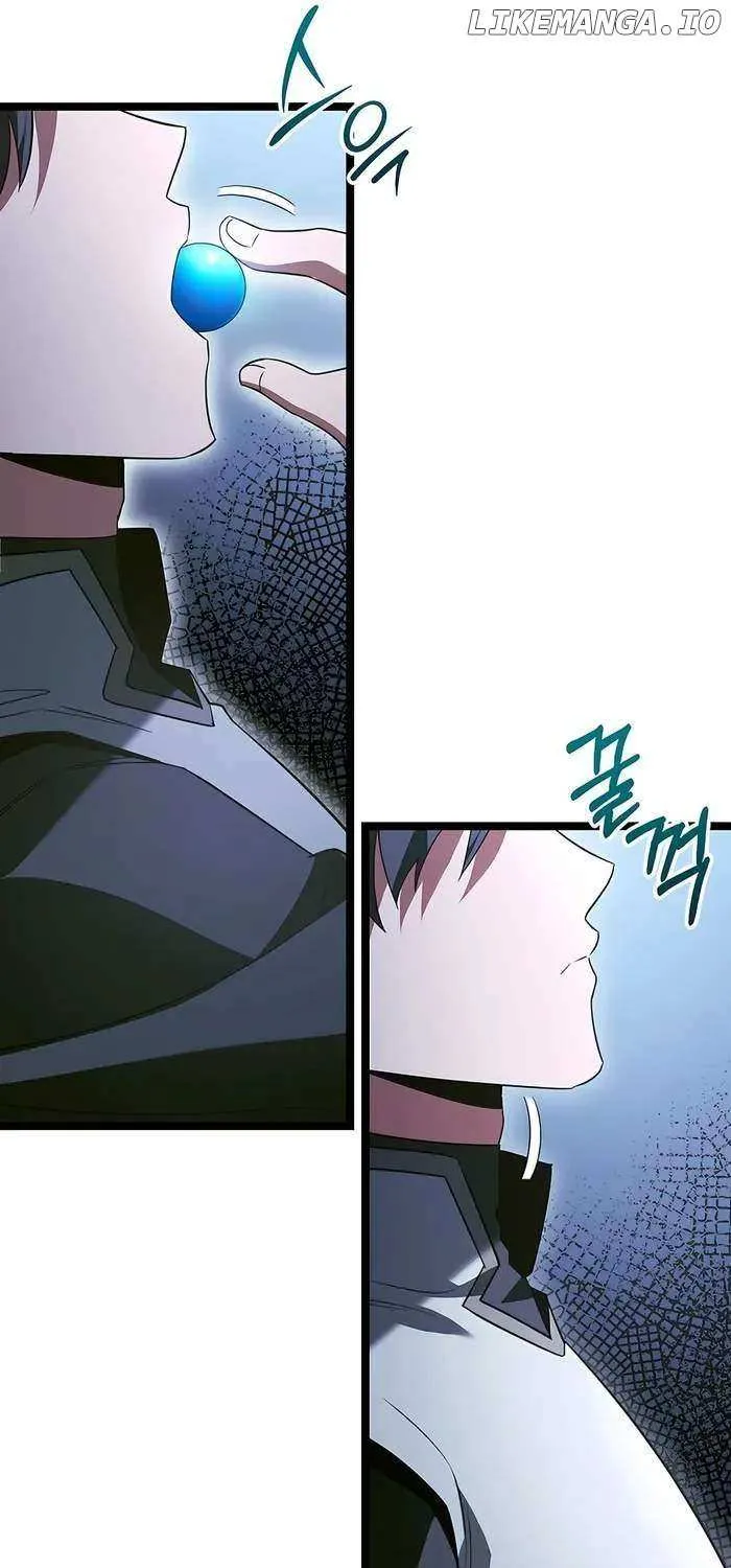 The Hero Became the Duke’s Eldest Son Chapter 59 page 33 - 