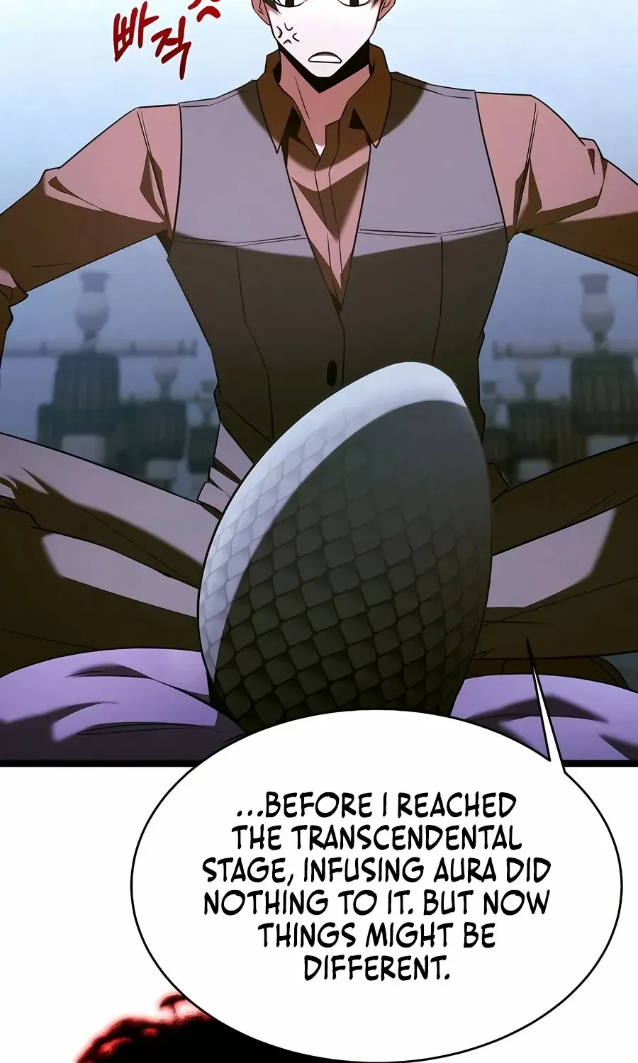 The Hero Became the Duke’s Eldest Son Chapter 67 page 81 - 