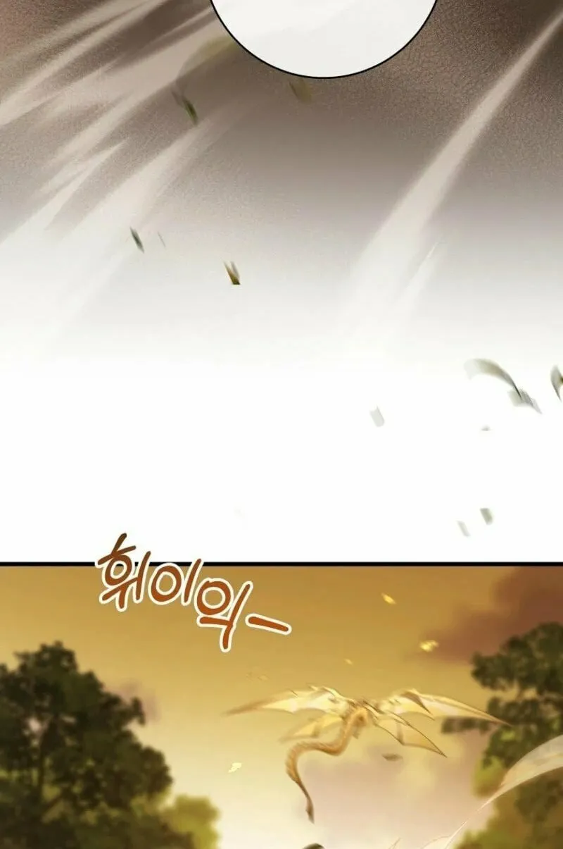 Read The Hero