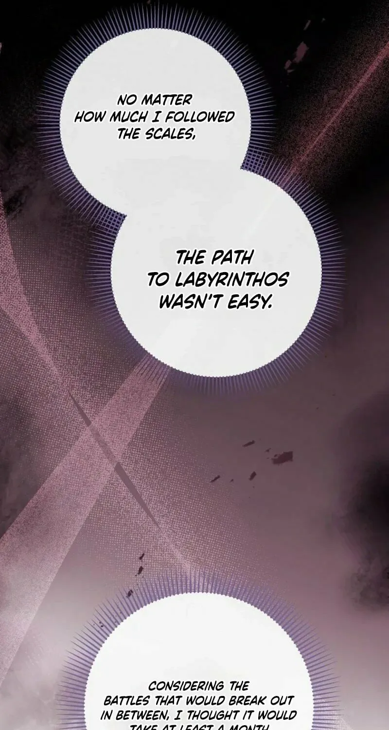 Read The Hero