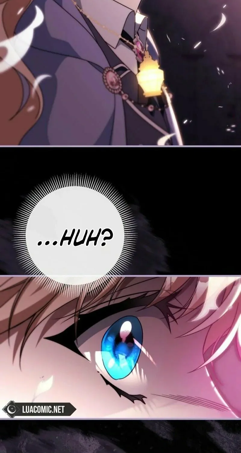 Read The Hero