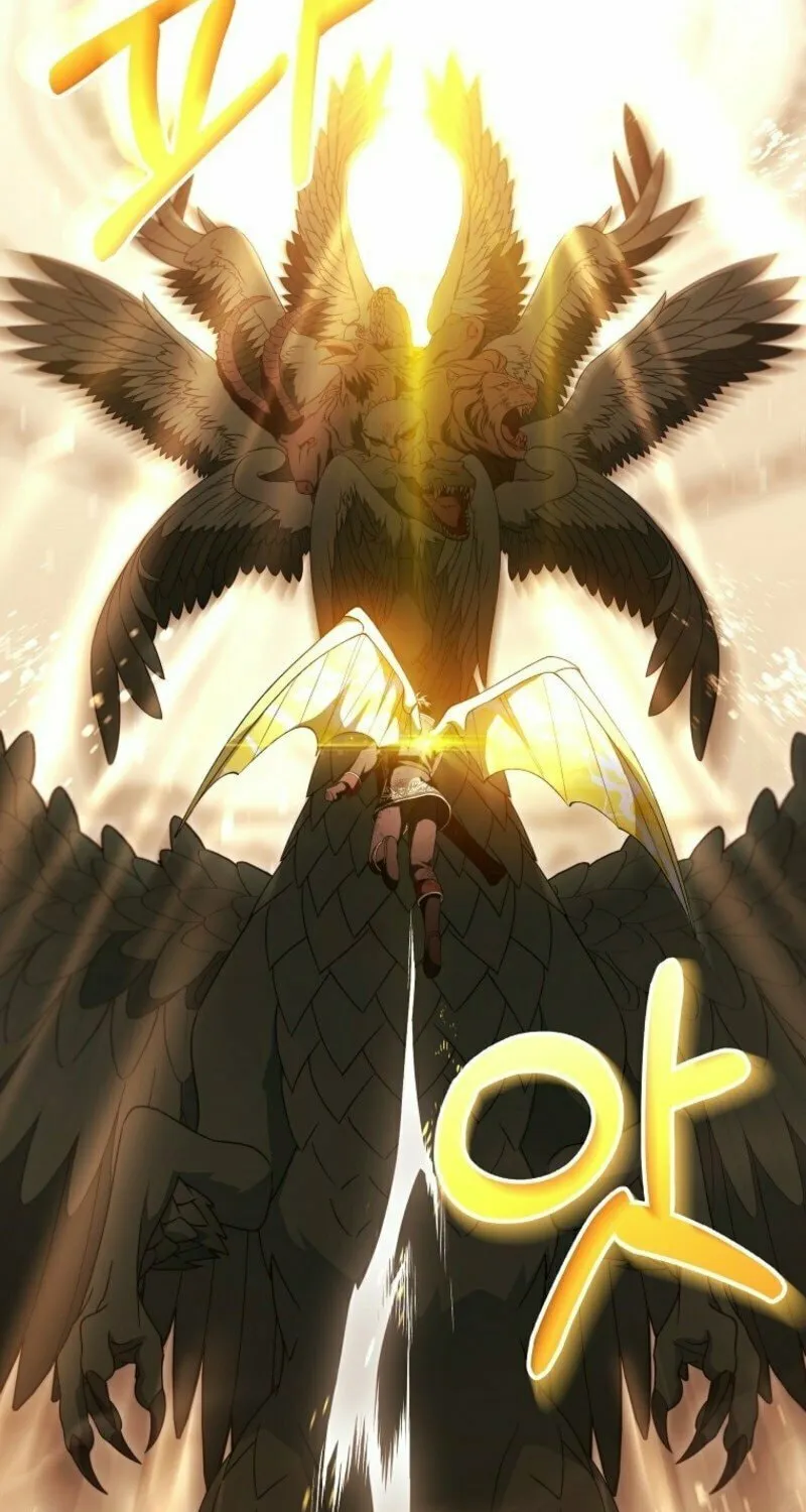 Read The Hero