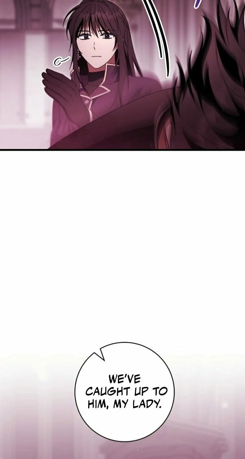 Read The Hero